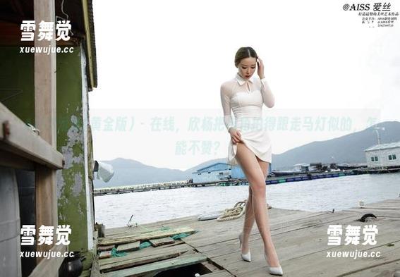 AISS爱丝(黄金版) - 在线，欣杨把街角拍得跟走马灯似的，怎能不赞？